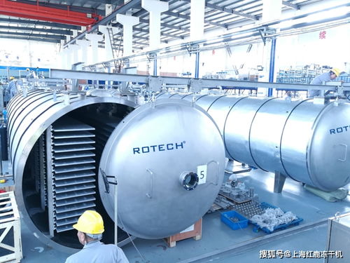 冻干机预冻阶段的目的与预冻时间探讨